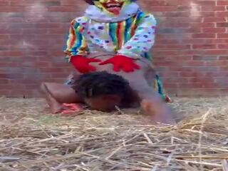 Gibby de clown eikels ebbehout in een barn