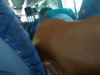 Risky δημόσιο νέος μαθητής/ρια χάλια μου phallus επί ο λεωφορείο. | xhamster