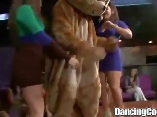 Dancingcock nagy harkály szeret